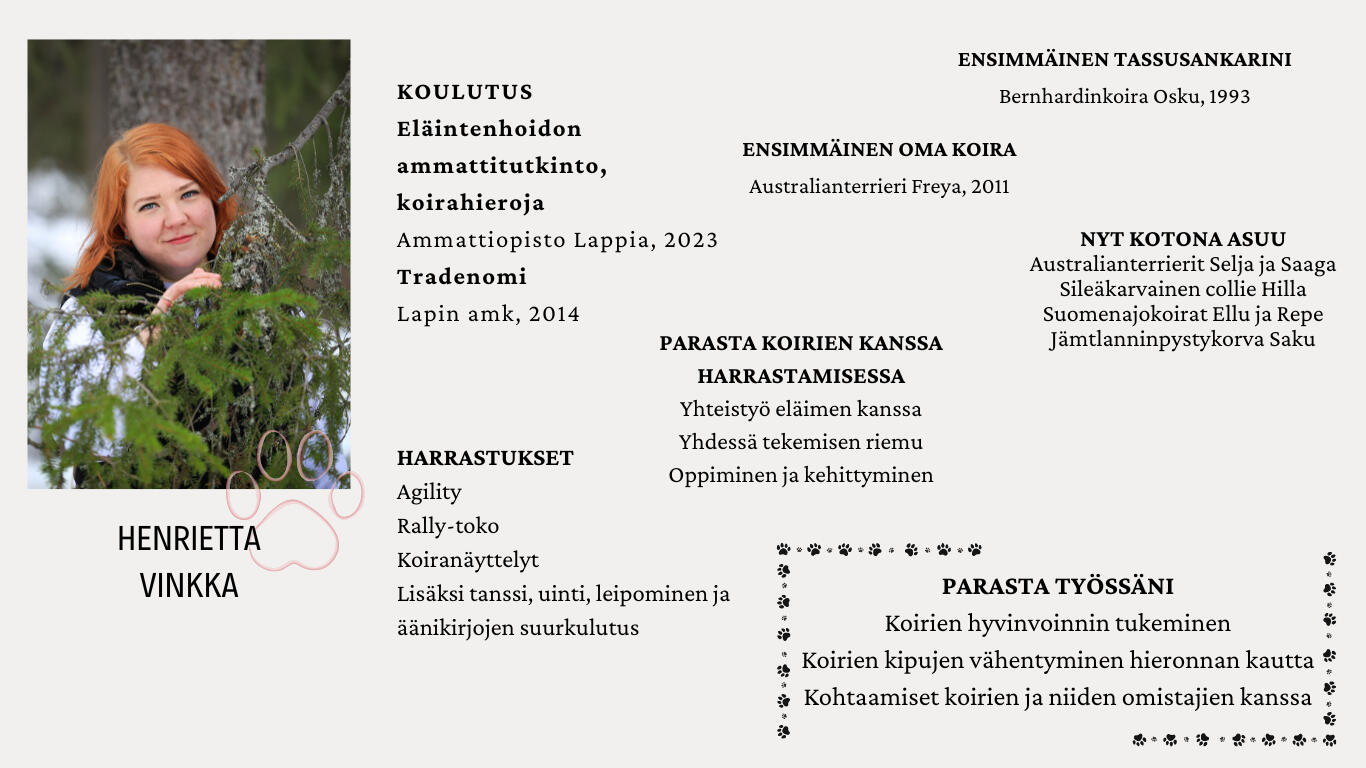 Koirahierontaa ja koirien jäsenkorjaus Rovaniemi