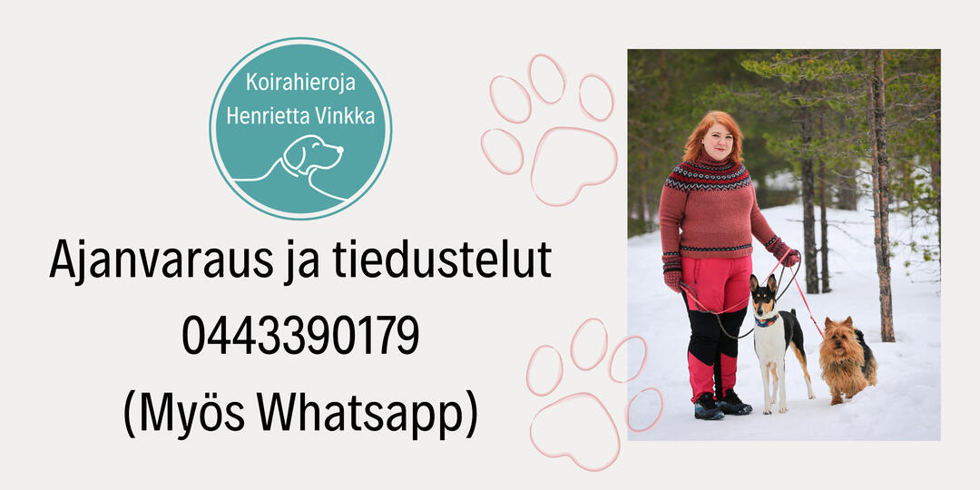 Koirahierontaa ja koirien jäsenkorjaus Rovaniemi